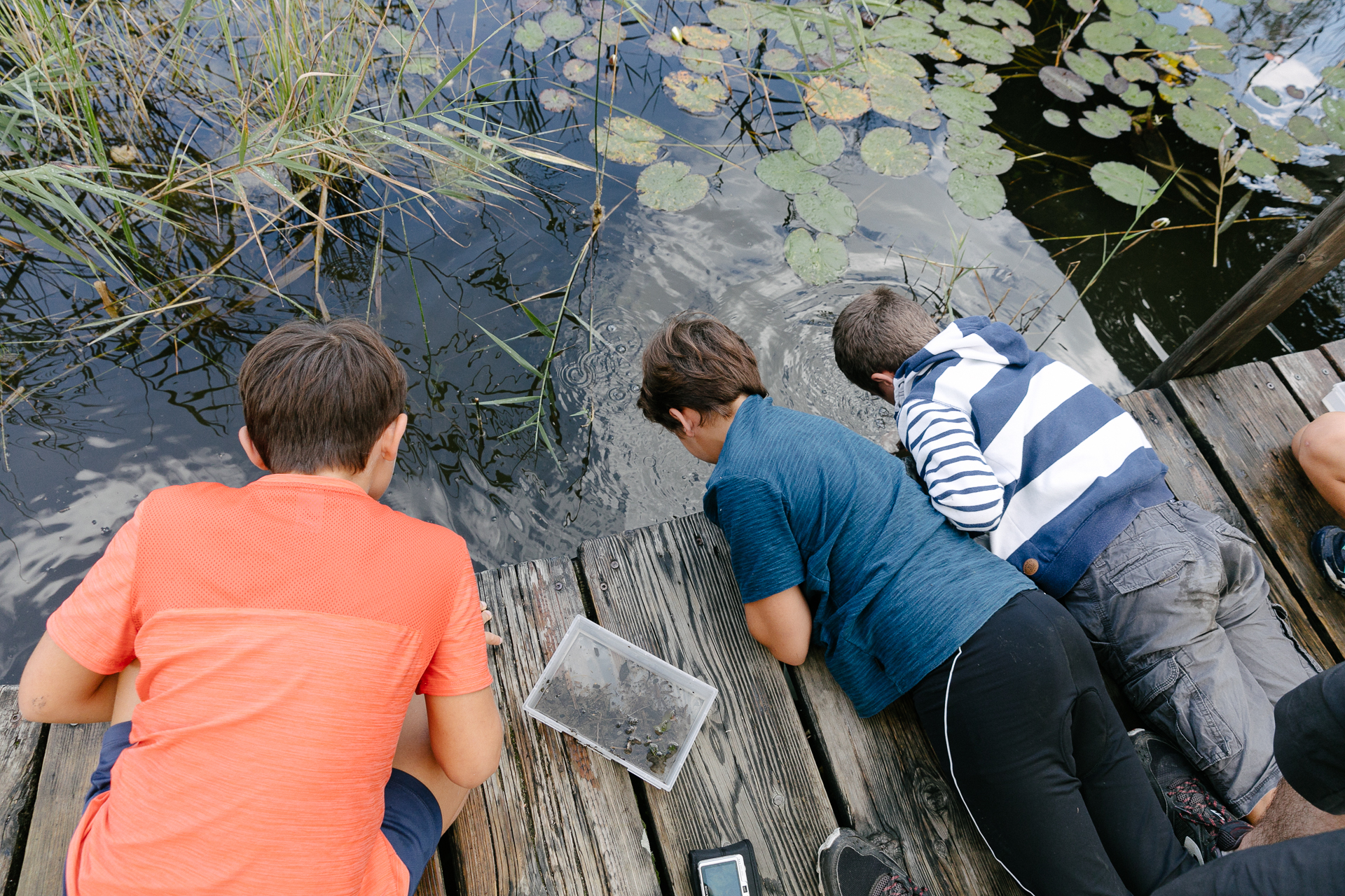 Les Experts de l'Etang