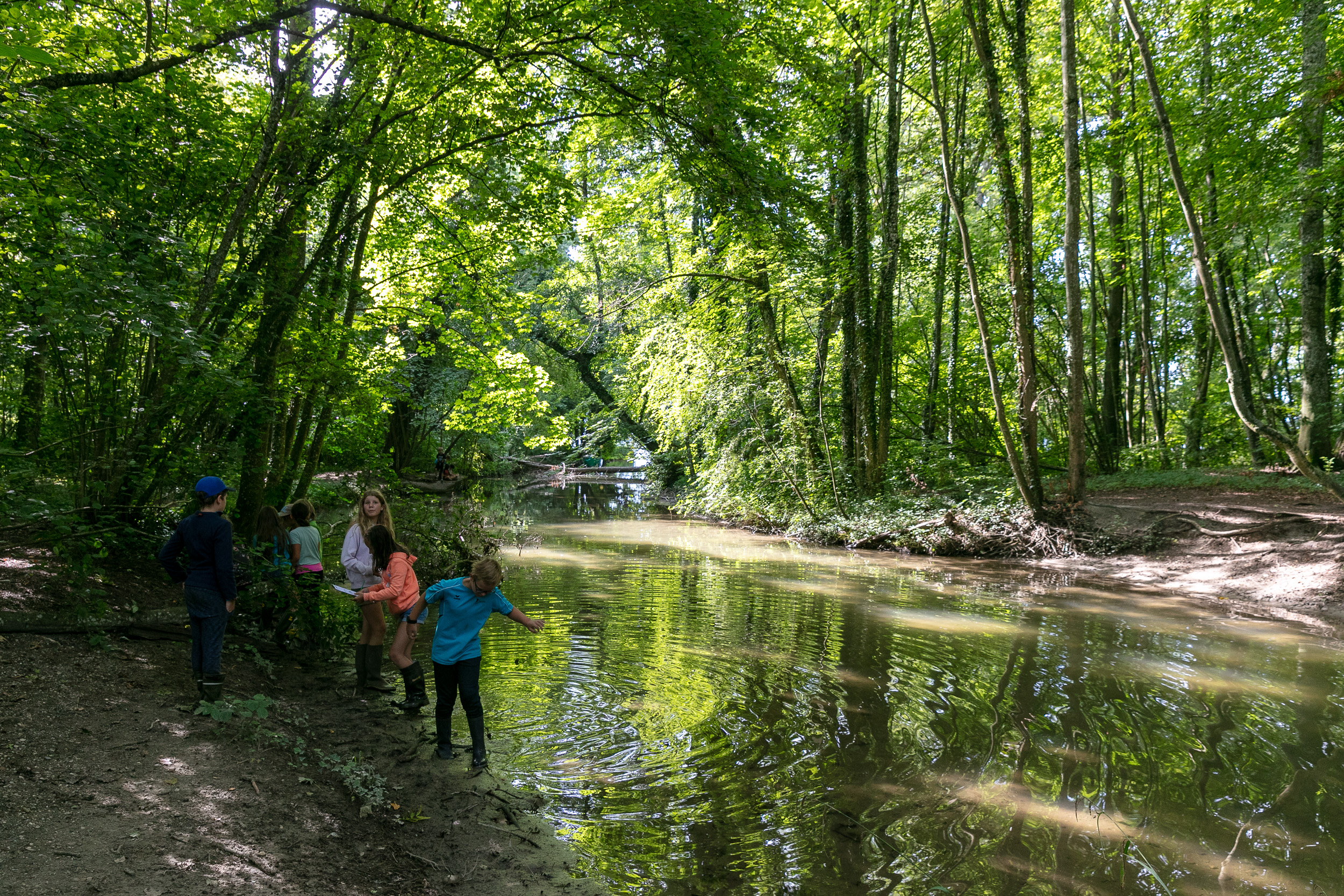 Sur les traces du castor