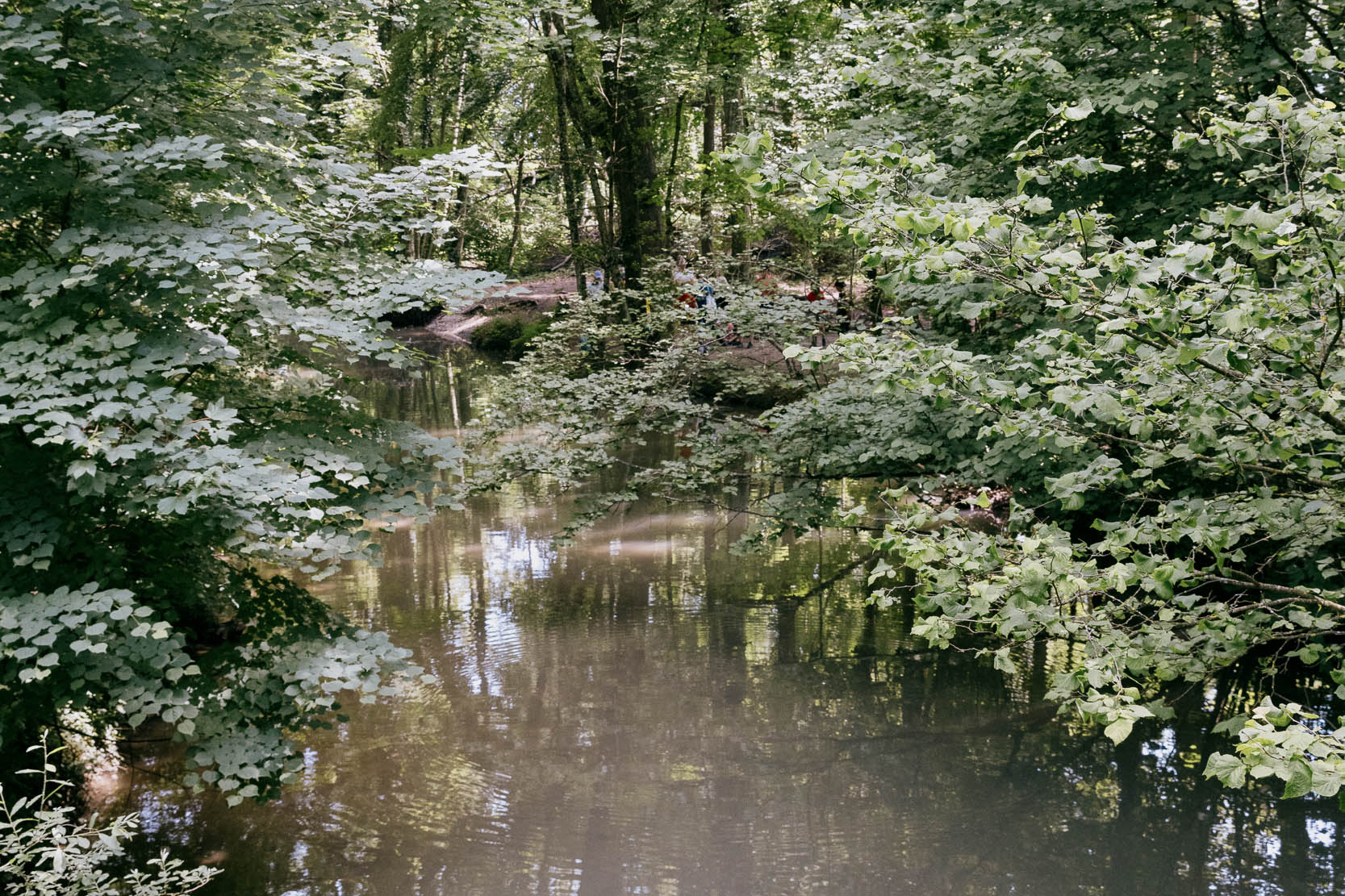 Et au milieu coule la Venoge